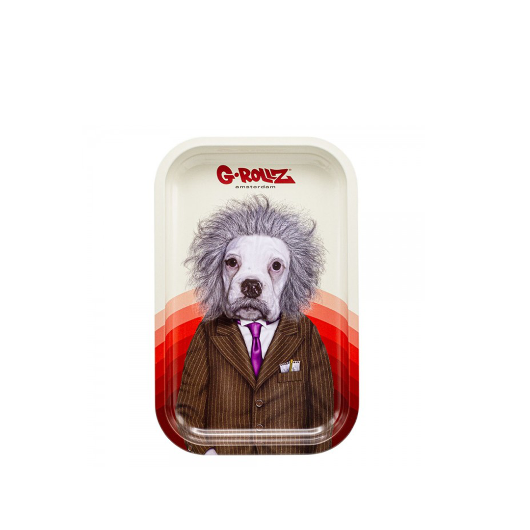 G-ROLLZ PET ROCKS METAL TRAY MEDIUM 17.5X27.5CM - BRAIN - PR3301P