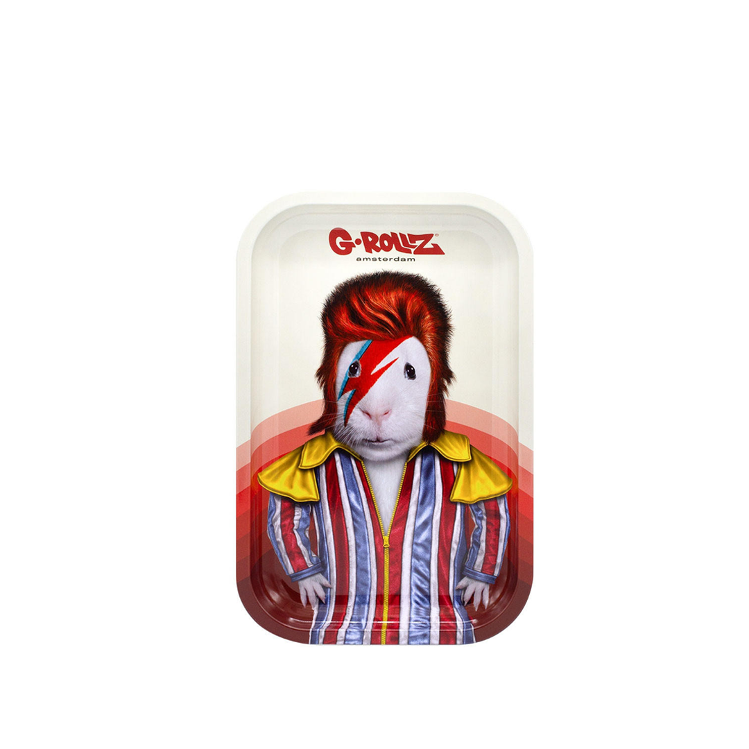 G-ROLLZ PET ROCKS METAL TRAY MEDIUM 17.5X27.5CM - GLAM ROCK - PR3301R