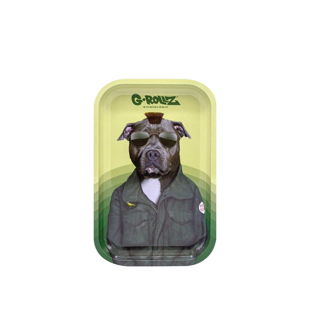 G-ROLLZ PET ROCKS METAL TRAY MEDIUM 17.5X27.5CM - TAXI - PR3301S