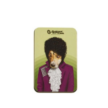 G-ROLLZ PET ROCK LARGE STORAGE BOXES 13.5 X 8.5 X 3 CM - PR3352-DIS1