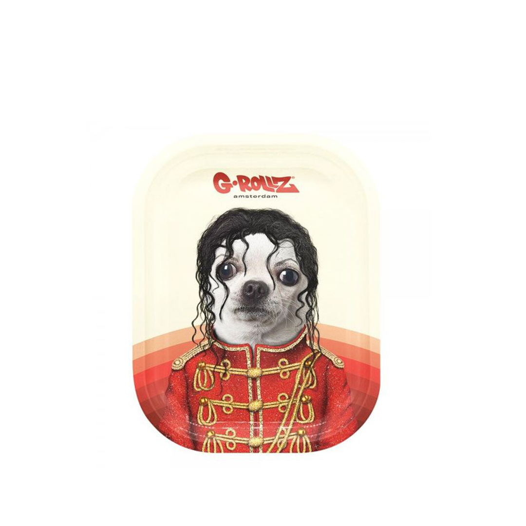 G-ROLLZ PET ROCKS METAL TRAY SMALL 14X18CM - POP - PR3300H