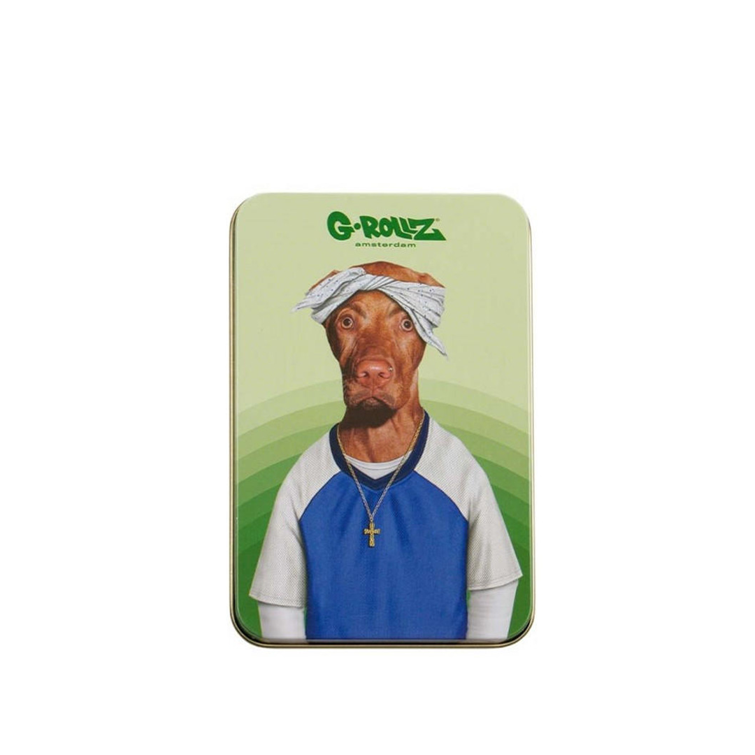 G-ROLLZ PET ROCK LARGE STORAGE BOXES 13.5 X 8.5 X 3 CM - PR3352-DIS3