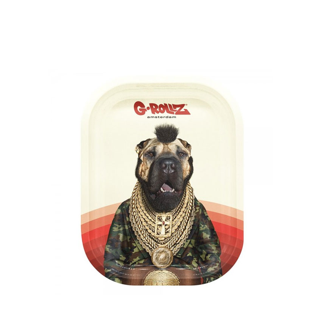G-ROLLZ PET ROCKS METAL TRAY SMALL 14X18CM - FOOL - PR3300J