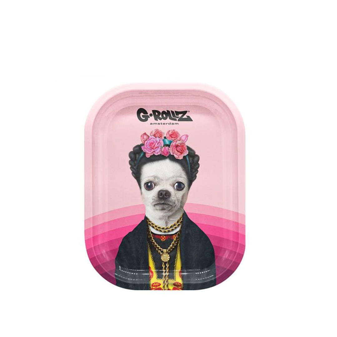 G-ROLLZ PET ROCKS METAL TRAY SMALL 14X18CM - MEXICO - PR3300K