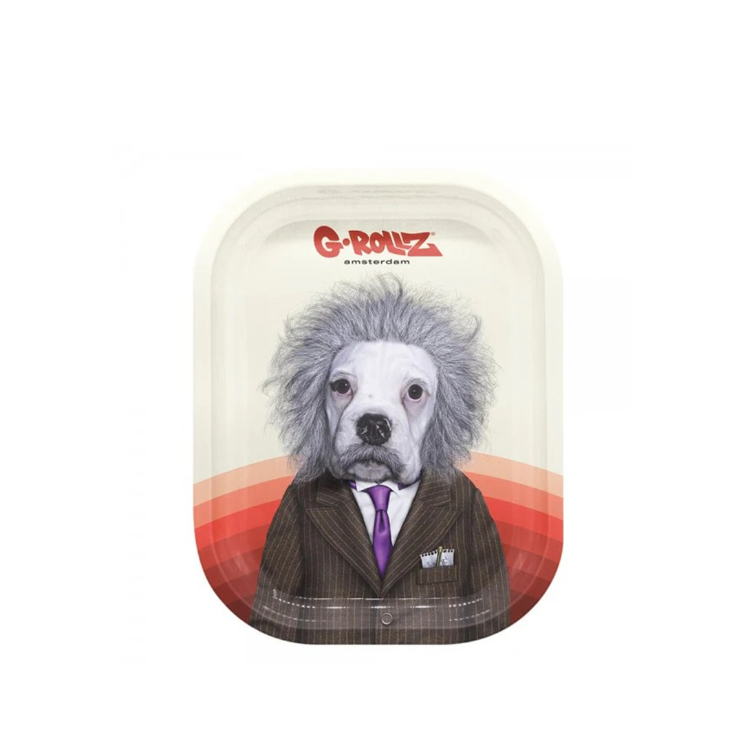 G-ROLLZ PET ROCKS METAL TRAY SMALL 14X18CM - BRAIN - PR3300P