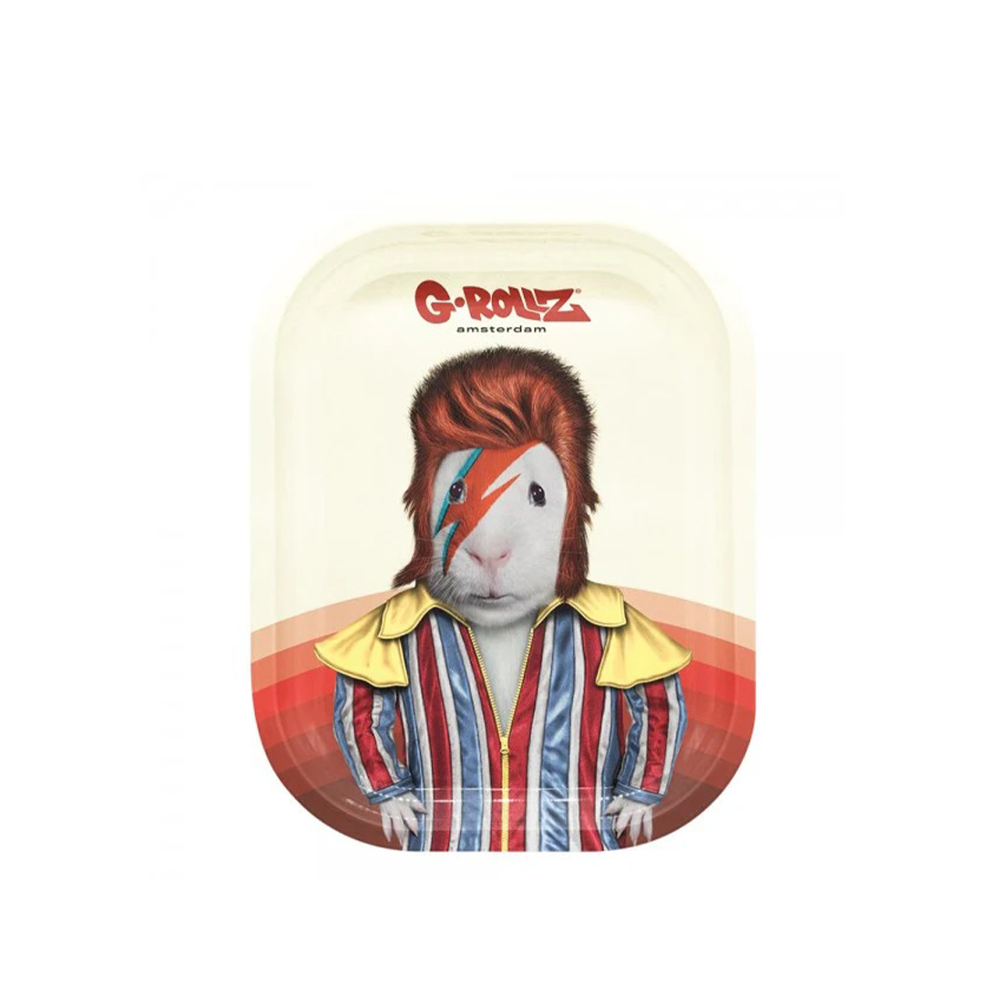 G-ROLLZ PET ROCKS METAL TRAY SMALL 14X18CM - GLAM ROCK - PR3300R