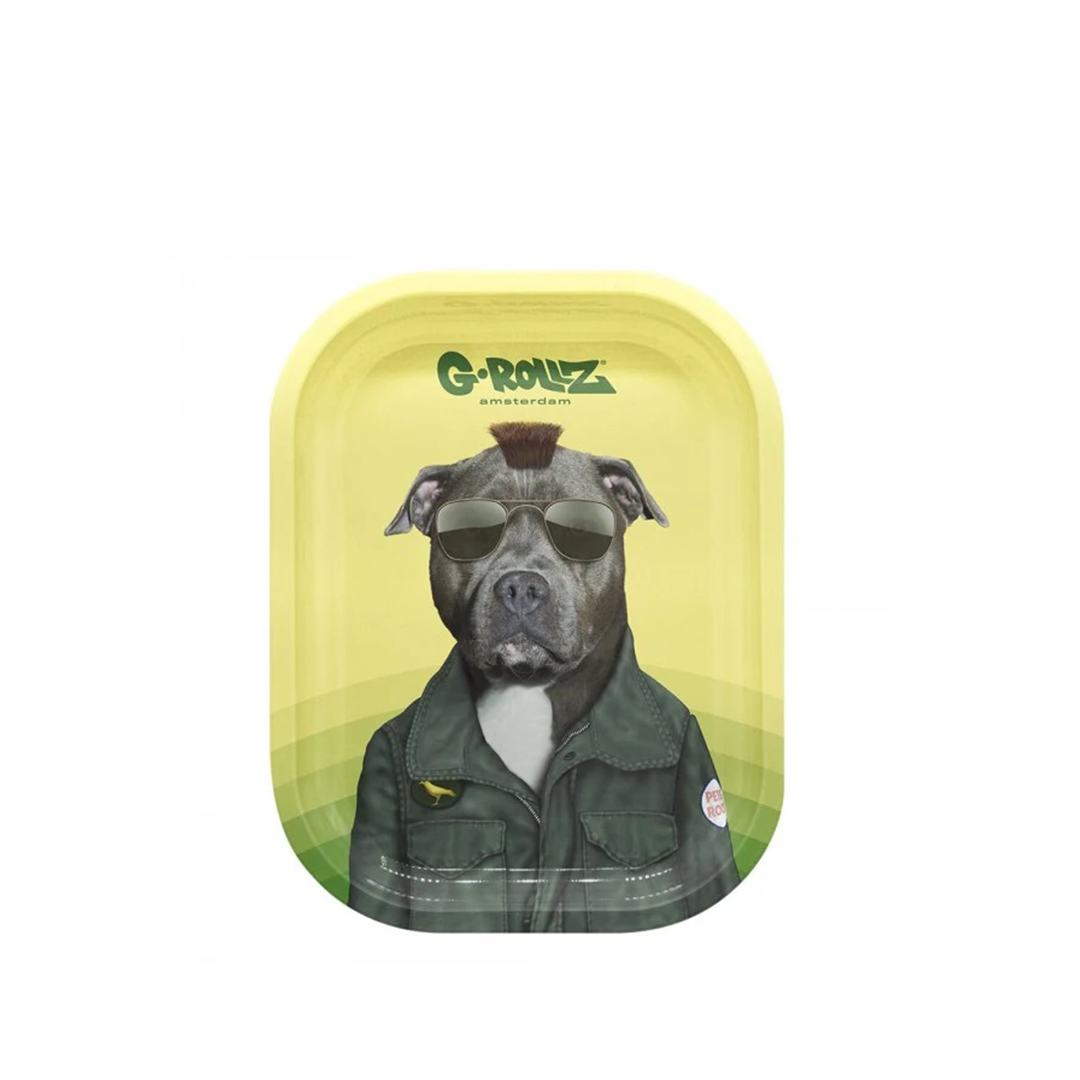 G-ROLLZ PET ROCKS METAL TRAY SMALL 14X18CM - TAXI - PR3300S