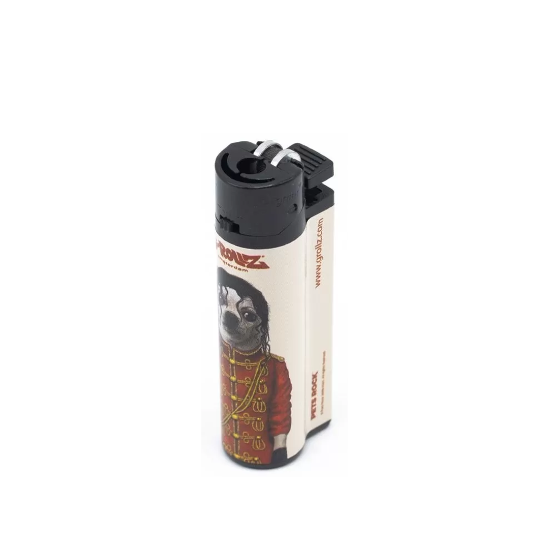 G-ROLLZ PET ROCK LIGHTERS 30/PK - PR3450-DIS3