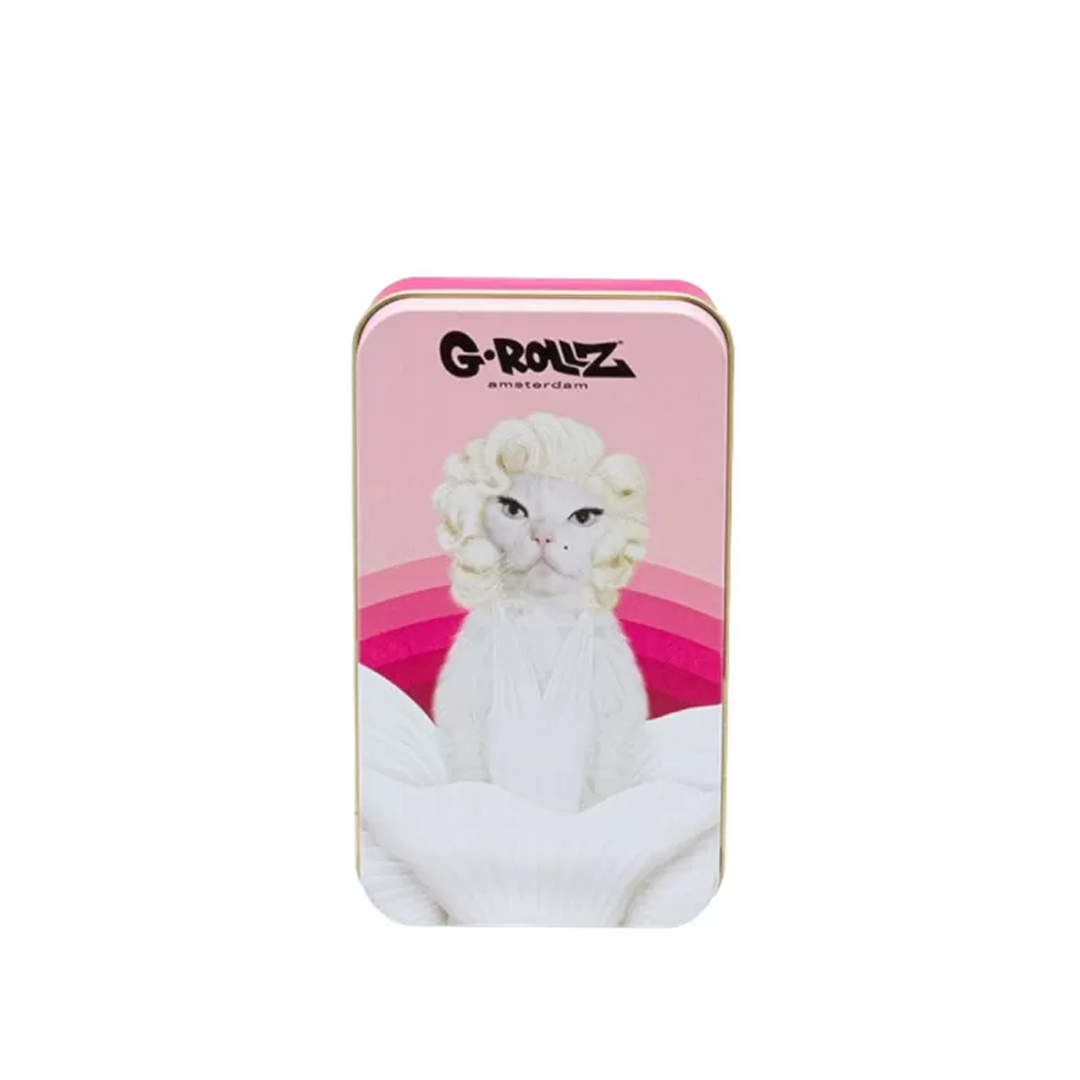 G-ROLLZ PET ROCK MEDIUM STORAGE BOXES 11.5 X 6.5 X 2.3 CM - PR3351-DIS1