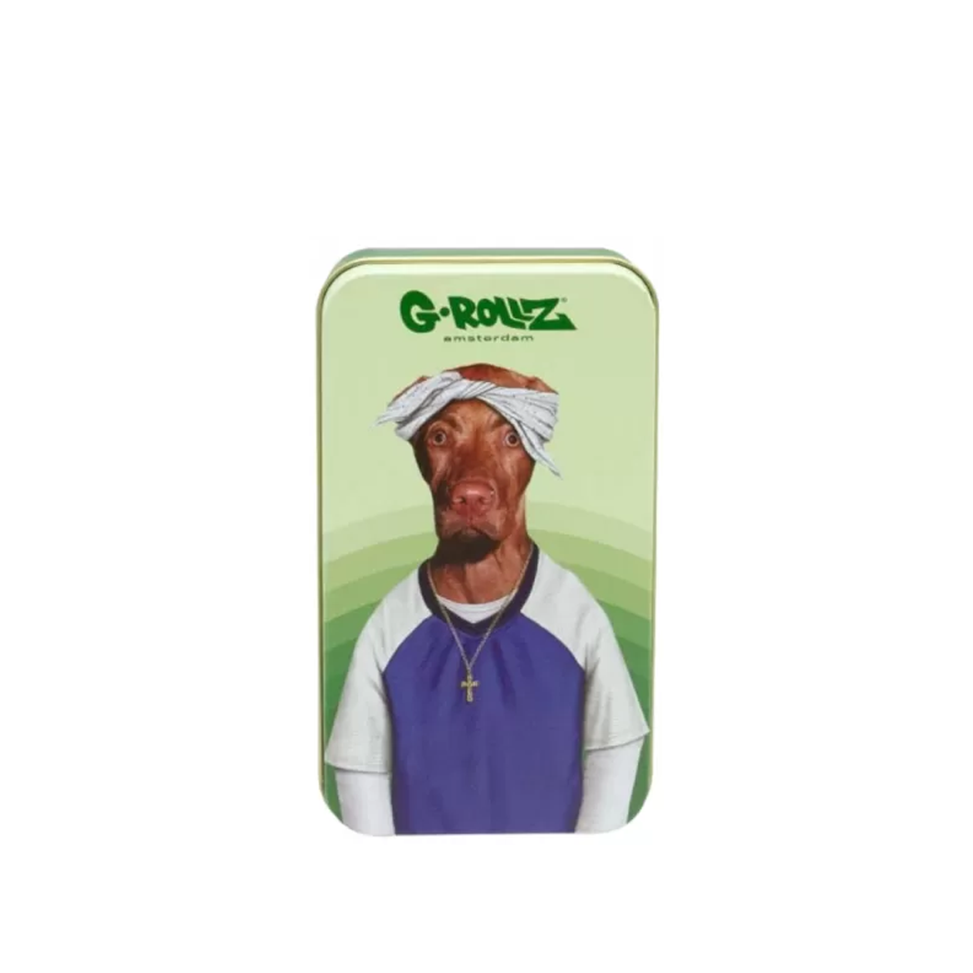 G-ROLLZ PET ROCK MEDIUM STORAGE BOXES 11.5 X 6.5 X 2.3 CM - PR3351-DIS4