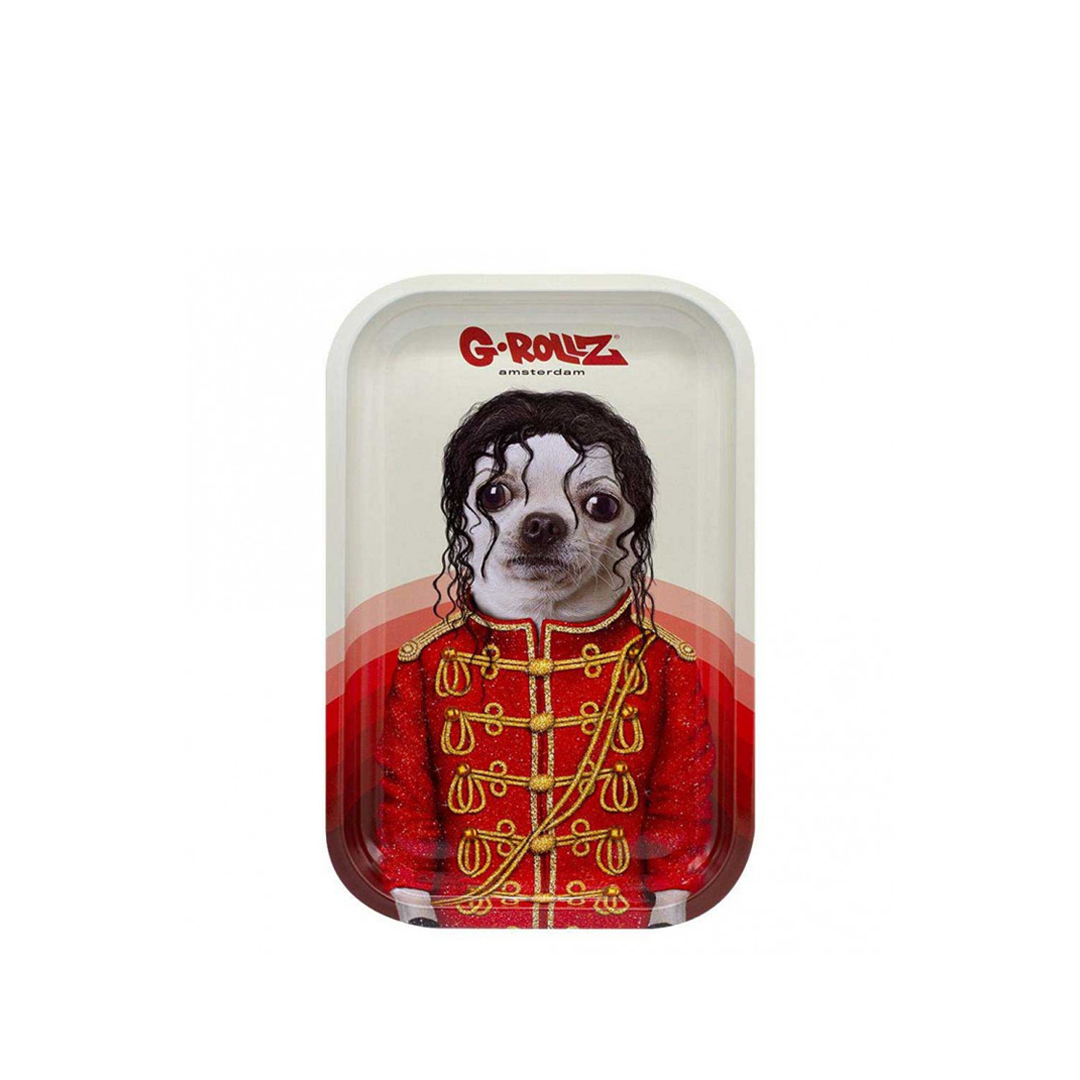 G-ROLLZ PET ROCKS METAL TRAY MEDIUM 17.5X27.5CM - POP - PR3301H