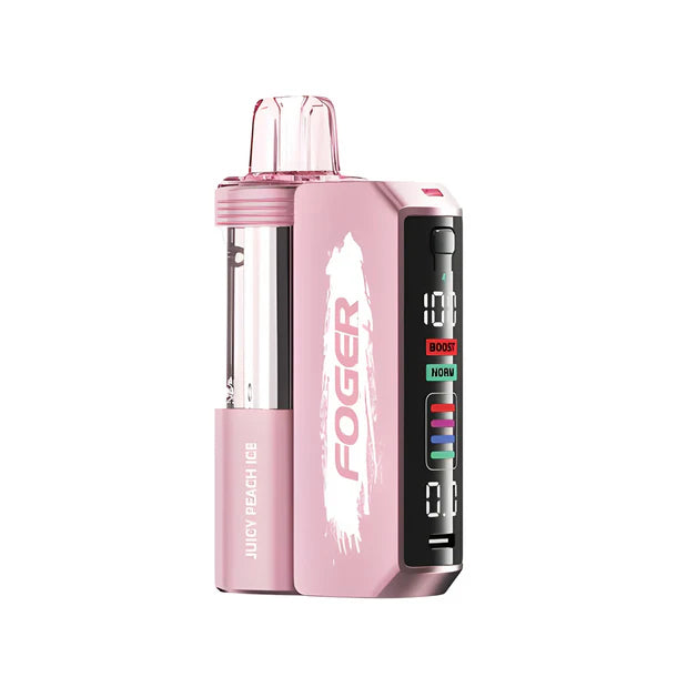 FOGER SWITCH PRO 30000 PUFFS DISPOSABLE VAPE KIT 5/PK