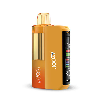 JOOZY PRO 30000 PUFFS DISPOSABLE VAPE 5/PK
